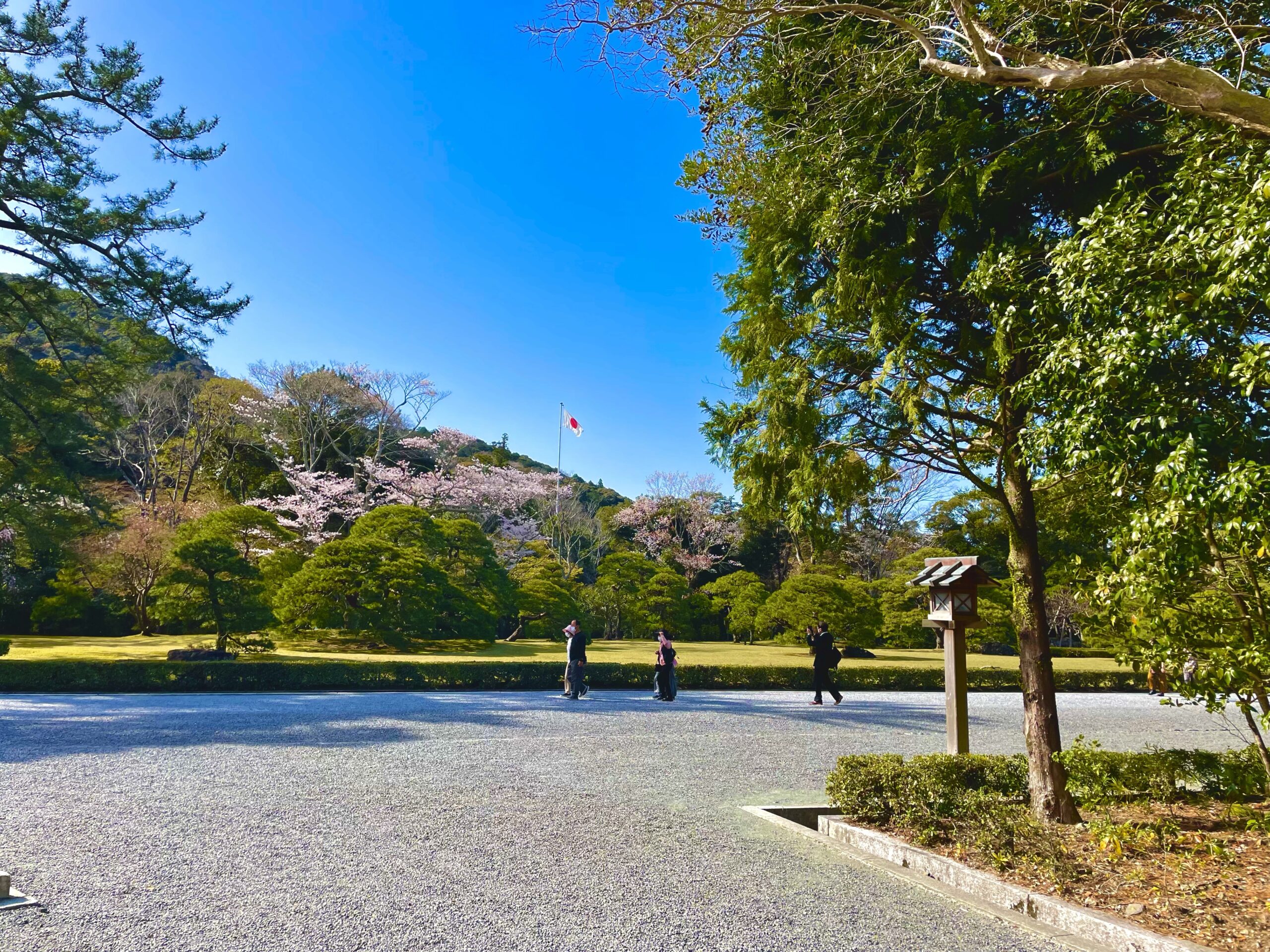 神宮内苑から見た日の丸